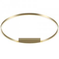 Накладной светильник Maytoni MOD058CL-L65BSK