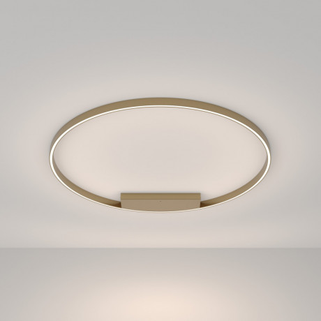 Накладной светильник Maytoni MOD058CL-L65BSK