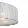 Накладной светильник ST-Luce SL357.102.05