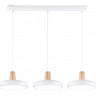 Подвесной светильник Ambrella Light FL4840
