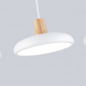 Подвесной светильник Ambrella Light FL4840