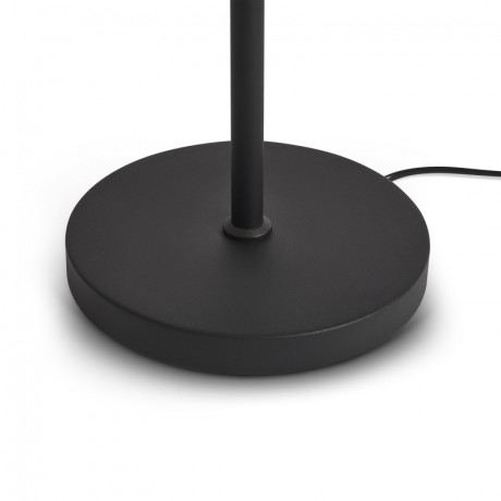 Торшер Freya FR5553FL-L20B