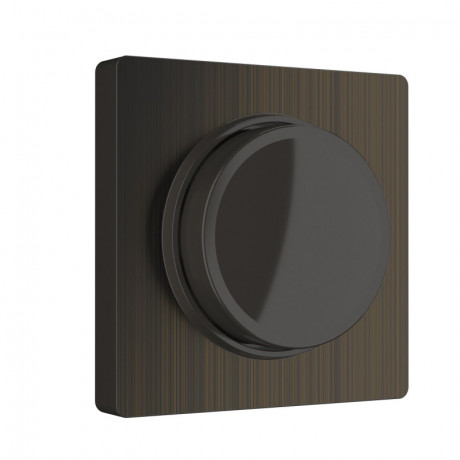 Клавиша/Накладка Werkel W1149012