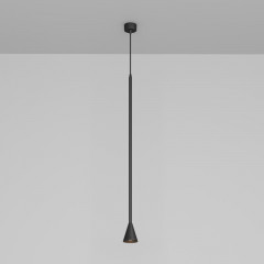 Подвесной светильник Maytoni Technical P064PL-01B-1