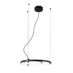 Подвесная люстра Favourite 4569-1P