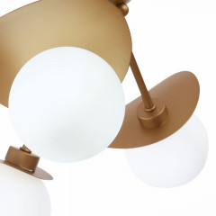 Накладная люстра Evoluce SLE220502-05