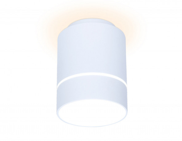 Накладной светильник Ambrella Light TN255