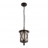 Подвесной уличный светильник LOFT IT 100016P