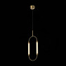 Подвесная люстра ST-Luce SL6004.303.02