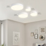 Накладной светильник Ambrella Light FV5519