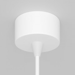 Подвесной светильник Maytoni Technical P064PL-01W-1