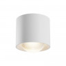 Влагозащищенный светильник Maytoni Technical C217CL-15W3K-W
