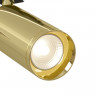 Светильник на шине Maytoni Technical TR004-1-GU10-G