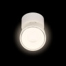 Спот LOFT IT 10323/A White