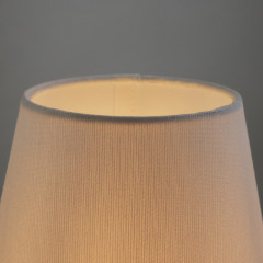 Настольная лампа Freya FR5371TL-01BS