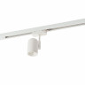 Светильник на шине Denkirs DK6001-WH
