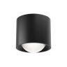 Влагозащищенный светильник Maytoni Technical C217CL-15W4K-B