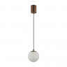 Подвесной светильник Odeon Light 6685/8L