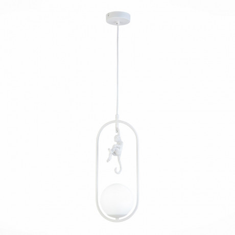 Потолочный детский светильник Evoluce SLE115123-01