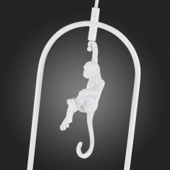 Потолочный детский светильник Evoluce SLE115123-01