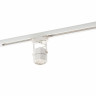 Светильник на шине Denkirs DK6004-WH