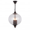 Подвесная люстра ST-Luce SL362.303.03