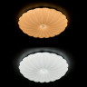 Накладной светильник ARTE Lamp A2675PL-72WH