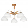 Люстра на штанге ARTE Lamp A5032PL-5BR