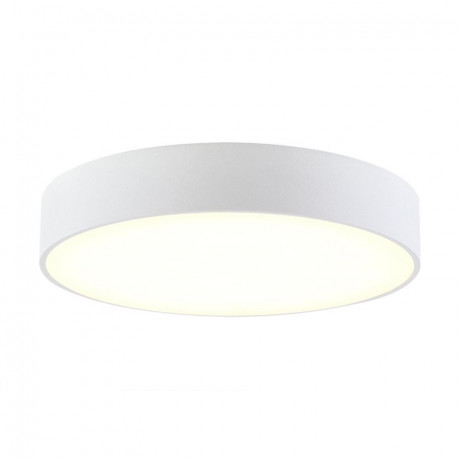 Накладной светильник Citilux CL712240N