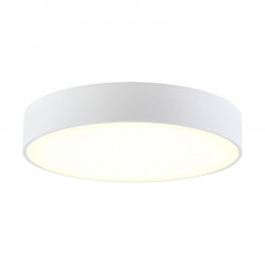 Накладной светильник Citilux CL712240N