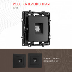 Розетка Arte Milano 217.51-1.black