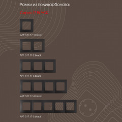 Розетка Arte Milano 217.51-1.black