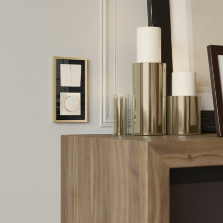 Терморегулятор Werkel W1151162