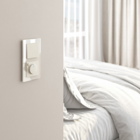 Терморегулятор Werkel W1151162