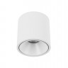 Накладной светильник DesignLed GW-8701-20-WH-WW