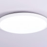 Накладной светильник Ambrella Light FZ1232