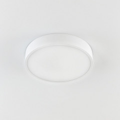 Накладной светильник Citilux CL72424V0