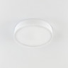 Накладной светильник Citilux CL72424V0