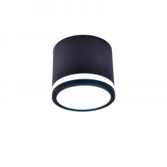 Накладной светильник Favourite 4212-1C