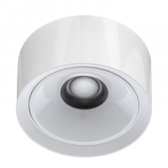 Накладной светильник Citilux CL743060N