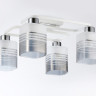 Накладная люстра Ambrella Light TR303205