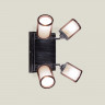 Спот Citilux CL535541