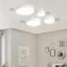 Накладной светильник Ambrella Light FV5524