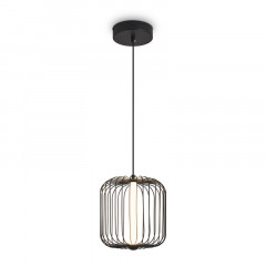 Подвесной светильник Freya FR6131PL-L13B