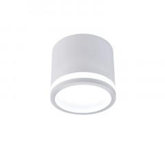 Накладной светильник Favourite 4213-1C