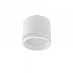 Накладной светильник Favourite 4213-1C