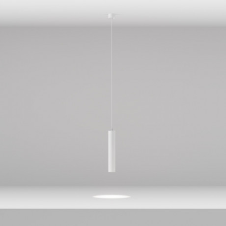 Подвесной светильник Maytoni Technical P072PL-L12W4K-1