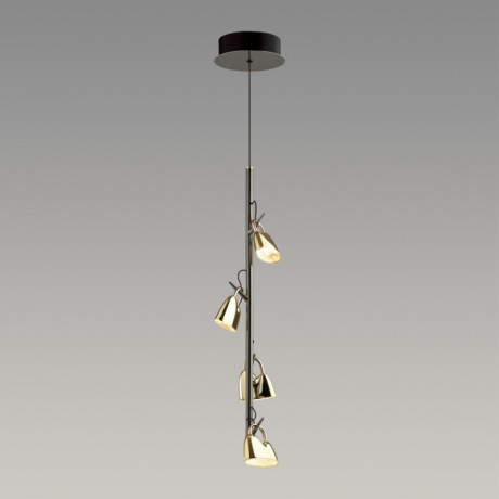 Подвесной светильник Odeon Light 5002/17L