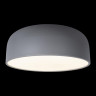 Потолочный детский светильник LOFT IT 10201/480 Grey