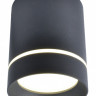 Накладной светильник ARTE Lamp A1909PL-1BK